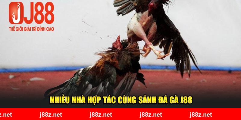 Nhiều nhà hợp tác cùng sảnh đá gà J88